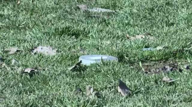 Hastanenin karşısındaki parka cenin atıldı