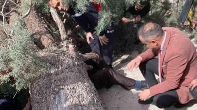 Seçimler öncesi akılalmaz olay! Saadet Partili başkan adayı ve oğlunun üzerine ağaç devrildi