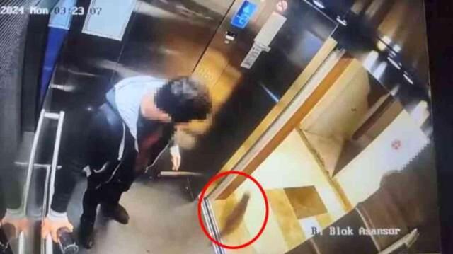 AK Parti Sözcüsü Ömer Çelik: Hayvanlara yapılan zulümlere asla müsamaha göstermedik