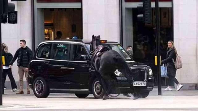 Firar eden kraliyet atları yüzünden ortalık kan gölüne döndü