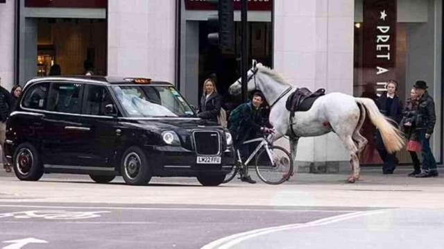 Firar eden kraliyet atları yüzünden ortalık kan gölüne döndü