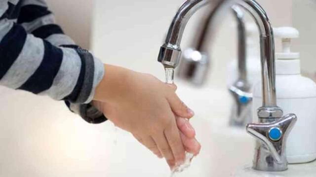 Kuş gribi hayvandan insana geçer mi? Kuş gribi etten bulaşır mı?