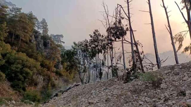Yeryüzünün en iyi hosteli seçilmişti! Olympos'taki Kadir'in Ağaç Evleri küle döndü
