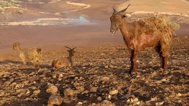 Diyarbakır'daki yangından kahreden görüntü! Hem ağladı, hem kaydetti: Hepsi yanmış, burası ceset dolu