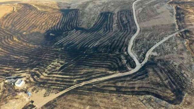 Diyarbakır ve Mardin'de 5 kişinin öldüğü yangının boyutu gün ağarınca ortaya çıktı