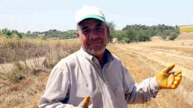 Edirne'deki Balya İşçileri, Kavurucu Sıcakta Günde 4 Bin Lira Kazanıyor