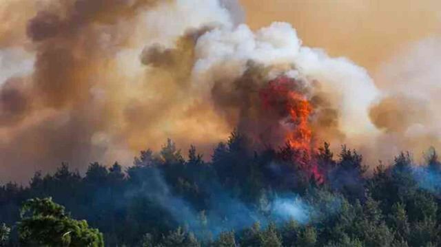 İzmir'in Selçuk ve Menderes ilçelerinde çıkan yangınlar kontrol altına alındı