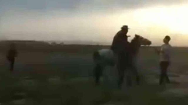 Fotoğraf çekmek isterken haramilerin saldırısına uğradılar