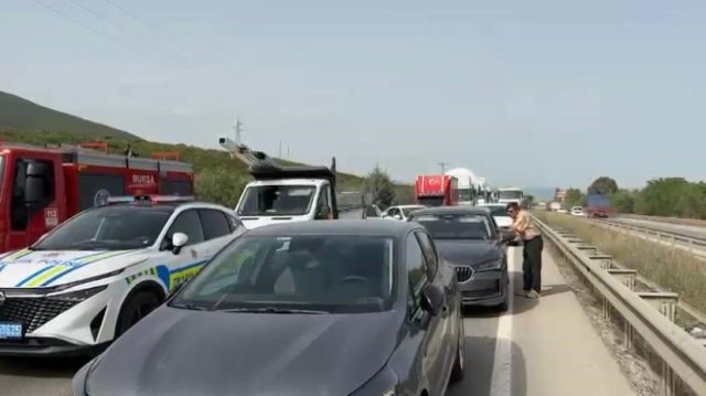 Bir arı trafiği birbirine kattı