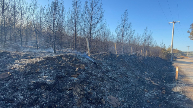 İzmir'de orman 2 gündür yanıyor