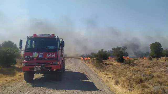 İzmir'in Buca ve Aliağa ilçelerinde orman yangını