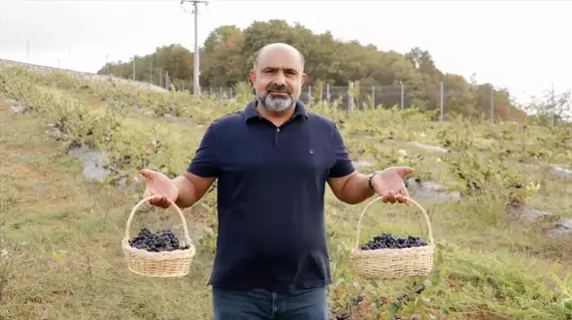 Hastalığına şifa ararken hayatının işini buldu! Daha dalındayken kapış kapış gidiyor