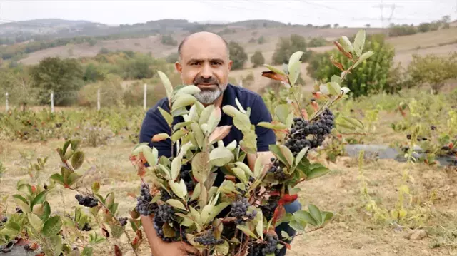 Hastalığına şifa ararken hayatının işini buldu! Daha dalındayken kapış kapış gidiyor