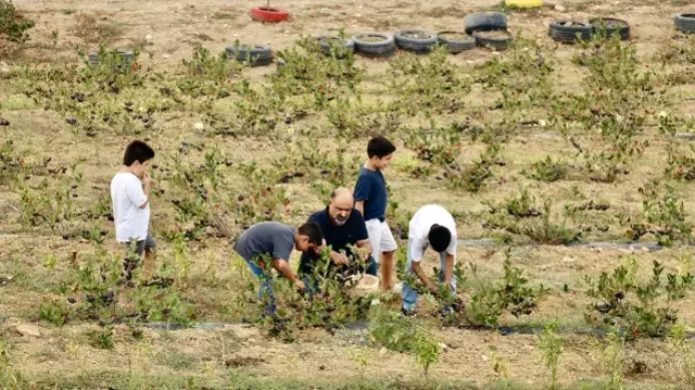 Hastalığına şifa ararken hayatının işini buldu! Daha dalındayken kapış kapış gidiyor