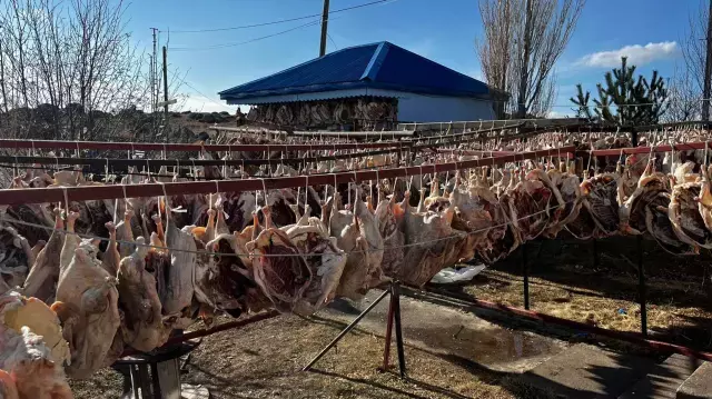 Gurbetteki Karslılar için 900 kazı keserek kurutmaya bıraktı