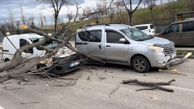 Ağaçlar kökünden söküldü, çatı ve prefabrik evler uçuyor! Vatandaşlara 'Sokağa çıkmayın' uyarısı