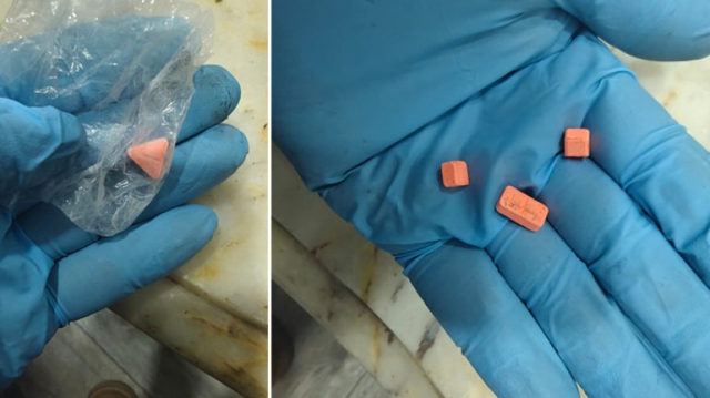 Can Yaman bu yüzden gözaltına alınmış! İşte üzerinden çıkanlar