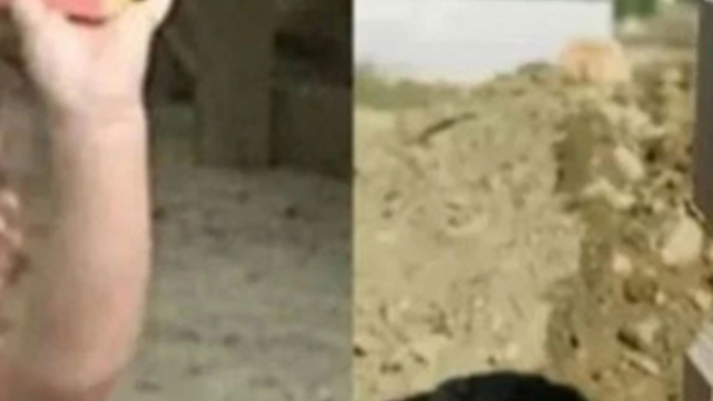 Sıla Bebeğin iddianamesinde şok eden ihmaller zinciri: Anne kanlı bezi çöpe atmış