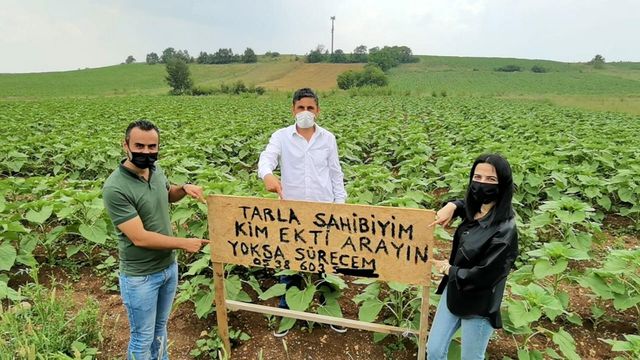 Kendisinden habersiz tarlasına başkası ekim yapınca, bu tabelayı astı: Kim ekti, arayın yoksa süreceğim