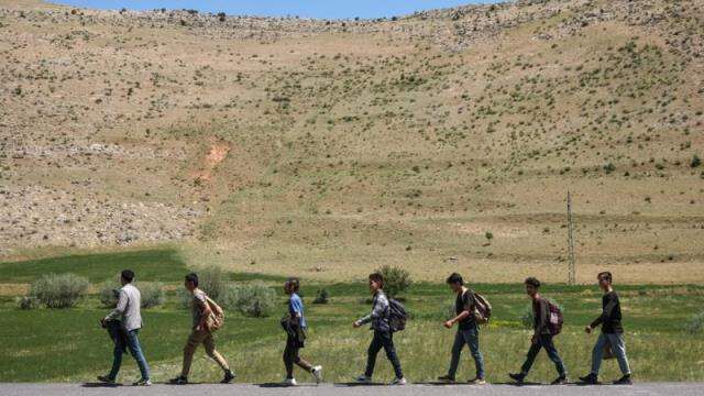 'Afganistan göçü yeni değil' diyen Göç Araştırma Merkezi başkanından uyarı: Medyanın popülerliğine aldanmayın