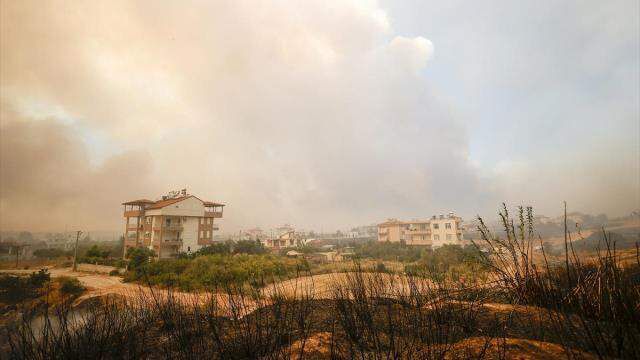 Antalya'da can telaşı fotoğraf karelerini yansıdı