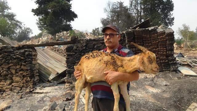 Marmaris'te alevler yeniden şiddetlendi, Datça karayolu ulaşıma kapandı