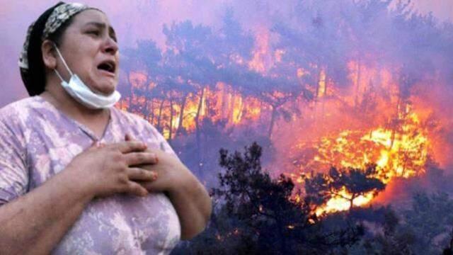 Milas Belediye Başkanı Muhammet Tokat: Eyvah, yangın kritik eşiği aşarak siteler tarafına geçti