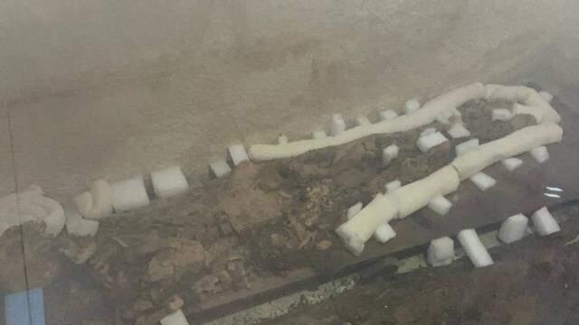 1800 yıldır korunuyor! Bursa'da mumyalanmış anne ve kız ilk defa görüntülendi