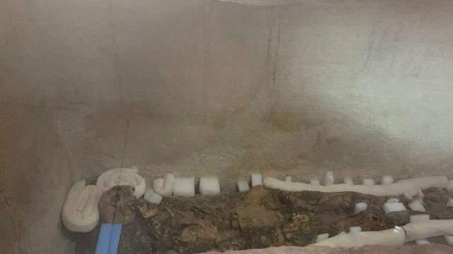 1800 yıldır korunuyor! Bursa'da mumyalanmış anne ve kız ilk defa görüntülendi