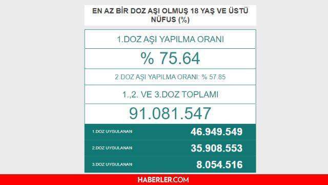 Son dakika... 25 Ağustos Koronavirüs tablosu vaka sayısı açıklanıyor - Son Dakika corona virüs vefat sayısı ve vaka sayısı kaç?
