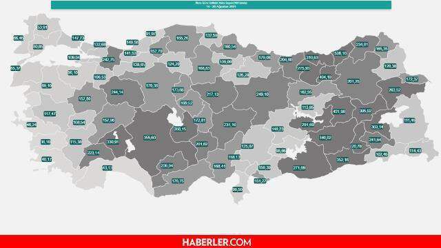 29 Ağustos Pazar 2021 korona tablosu… Bugünkü corona vaka sayısı açıklandı! 29 Ağustos koronavirüsten kaç kişi öldü?