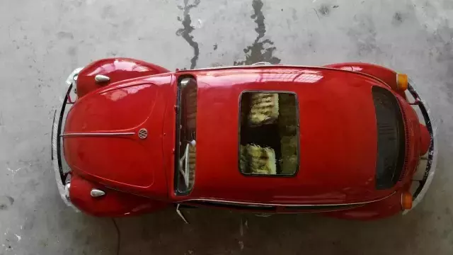 Türkiye'de eşi benzeri yok! 'Vosvos Akvaryum' Abu Dabi'de sergilenmek için gün sayıyor