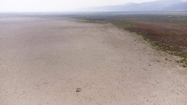 Son dakika haber | KURUYAN AKŞEHİR GÖLÜ'NÜN ORTASINDA ARAÇLA GEZİLEBİLİYOR