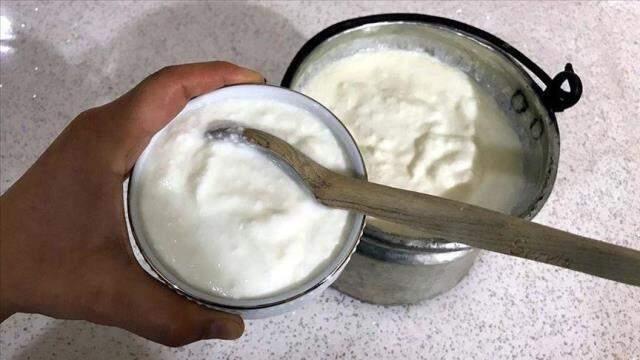 Kefir nedir? Kefirin faydaları nelerdir? Kefir nasıl yapılır?