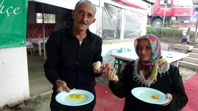 55 yıllık ustadan yumurtanın tazeliğini saptamak için görülmemiş 'dönme' yöntemi