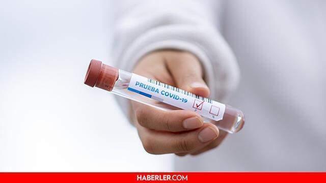 Covid geçirenler ne zaman aşı olmalı? Covid-19 geçirenler aşı olmalı mı? Korona geçirenler ne zaman aşı olmalı?