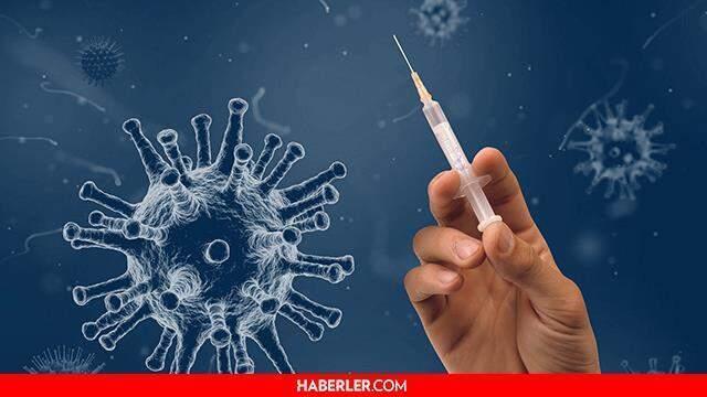 Biontech mi, Sinovac mı yaptırılmalı? Hangi aşı daha etkili? Delta varyantı hangi aşı etkili? Biontech ve Sinovac hangisi daha koruyucu?