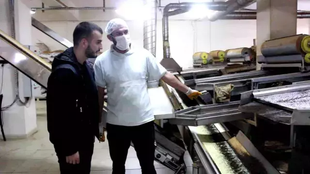 5 bin lira maaş veren 24 yaşındaki patron sitem etti: Gençlerin en büyük problemi iş beğenmeme