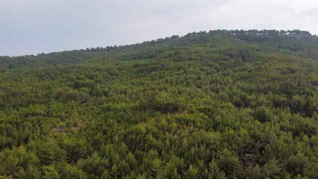 Günlerdir aranan Müslüme'nin cansız bedeninin bulunduğu yer görüntülendi