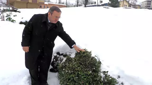 Kar, çayda kalite ve verimi artıracak