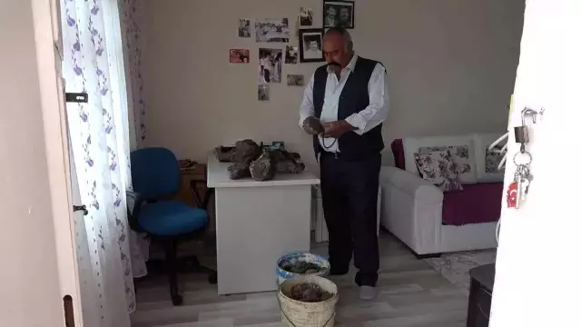 Mantar toplamak için çıktığı arazide 100 kilo gök taşı topladı!