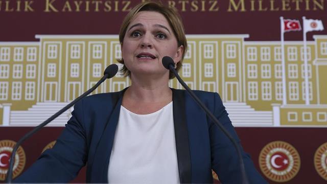 Selin Sayek Böke kimdir? Nereli, kaç yaşında?