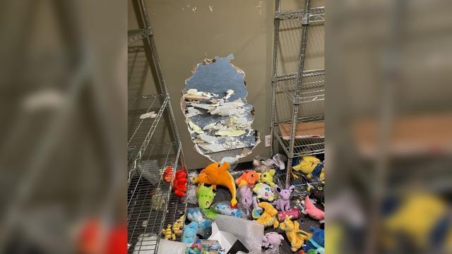 Pokemon kartları çalan hırsız mağaza sahibini yüz binlerce dolar zarara uğrattı