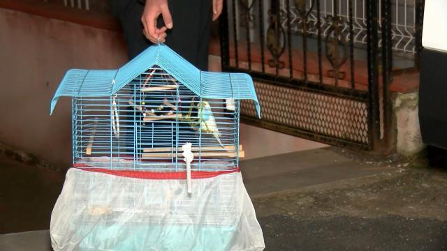 İstanbul'da dehşet evi! Ukraynalı karısını mutfakta bıçaklayıp intihar etti