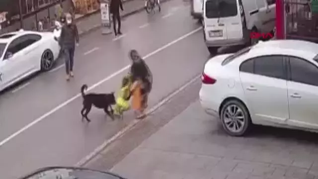 Vicdansız anne kamerada! Köpeğin saldırısına uğrayan kadın çocuğunu bırakıp kaçtı