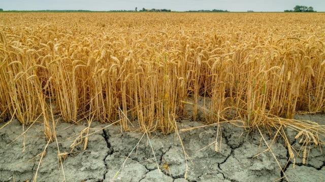 Dünya bankası başkanından savaş yorumu: Savaş uzarsa küresel ekonomi küçülmeye gider