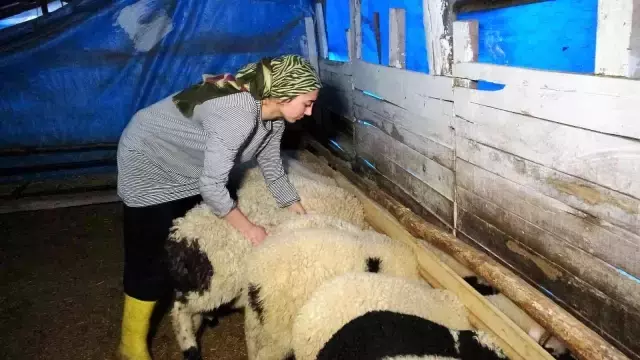 Cumhurbaşkanı Erdoğan'ın ortaklık teklif ettiği genç kadın, azmi ile örnek oluyor