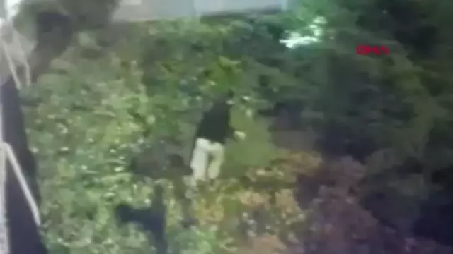 Aleyna Tilki'nin evine girmeye çalışan saplantılı hayranını 4 yıla kadar hapsi isteniyor