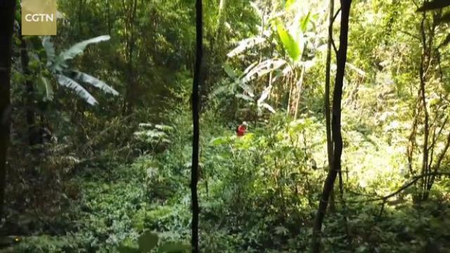 Bilim insanları aylardır hazırlık yaptıkları mağaranın içine girdi: Burası resmen başka bir boyut