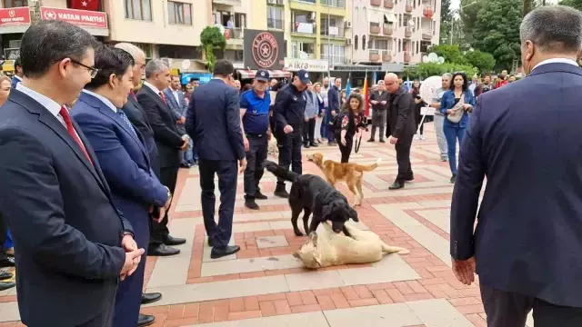 Protokolün sokak köpekleriyle imtihanı